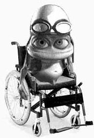 france_frog_wheelchair_31.jpg