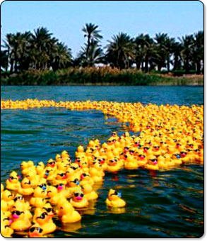duckies.jpg