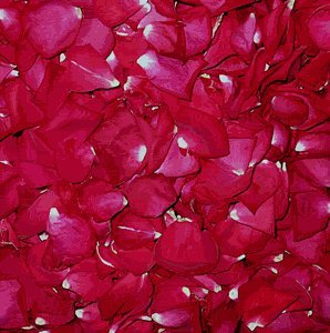 rosepetals.jpg